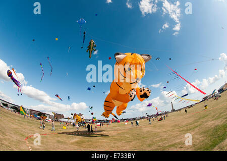 Portsmouth International Kite Festival, kite-tiger Stockfoto