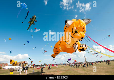 Portsmouth International Kite Festival, kite-tiger Stockfoto