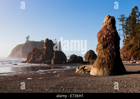 Meer-Stacks auf Ruby Beach in den Olympic National Park, am frühen Abend, Washington-USA Stockfoto