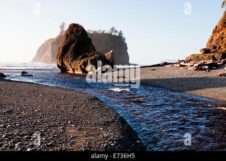 Meer-Stacks auf Ruby Beach in den Olympic National Park, am frühen Abend, Washington-USA Stockfoto