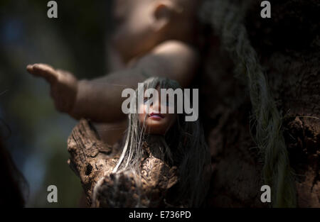 Eine Puppe hängt an einem Baum auf der Insel der Puppen in Xochimilco, südlichen Mexiko-Stadt, 12. Juli 2014. Stockfoto