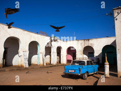 Der Markt In der Altstadt, Harar, Äthiopien Stockfoto