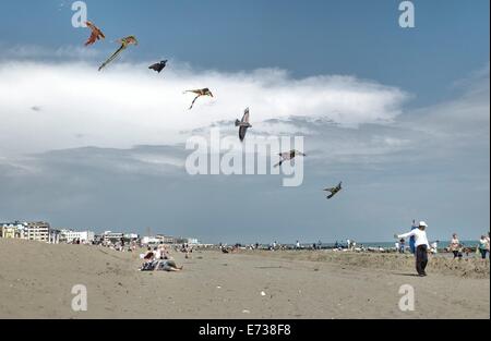 Caorle, Veneto, Italien. Mai 2014, Vorfrühling Seazon am Adria-Strand in Caorle Resort. Drachen-Verkäufer, ein Einwanderer fr Stockfoto