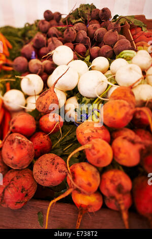 Bunte Beats, die auf einem Bauernmarkt zum Verkauf stehen Stockfoto