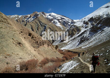 Touristen Wandern im Winter, Hemis-Nationalpark, Ladakh, Indien, Asien Stockfoto