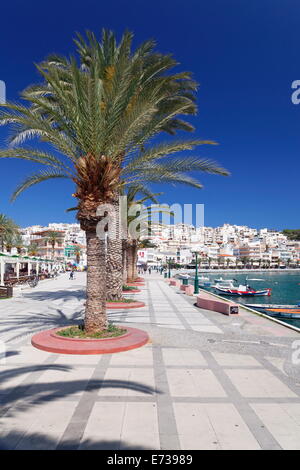 Promenade am Meer, Sitia, Ostkreta, Kreta, griechische Inseln, Griechenland, Europa Stockfoto