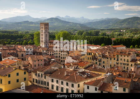 Blick über Stadt, San Frediano aus Spitze Torre Guinigi, Lucca, Toskana, Italien, Europa Stockfoto