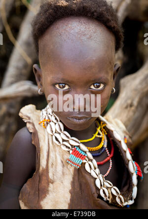 Litte Hamer Mädchen Stamm mit Kopf, die Hälfte In traditioneller Kleidung, Turmi, Omo-Tal, Äthiopien rasiert Stockfoto