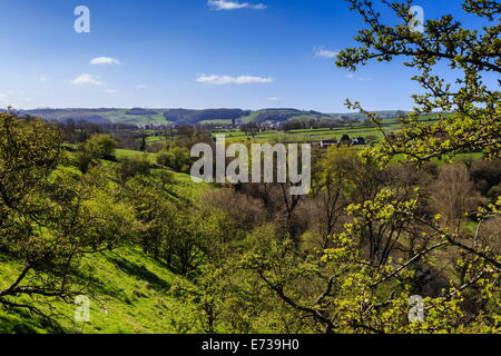 Blick Richtung Youlgreave von den Hängen des Lathkill Dale im Frühjahr, Peak District National Park, Derbyshire, England Stockfoto