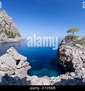 Bucht Cala de Sa Calobra, Mallorca (Mallorca), Balearische Inseln (Islas Baleares), Spanien, Mittelmeer, Europa Stockfoto