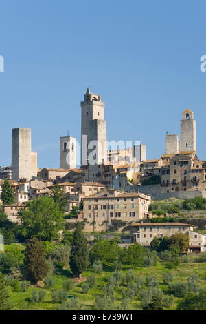 Blick über Feld, um typische Häuser und mittelalterliche Türme, der UNESCO, San Gimignano, Siena, Toskana, Italien Stockfoto