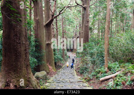 Pilger auf Daimon-Zaka Nachi Tokaido Pilgerweg route, UNESCO-Weltkulturerbe, Wakayama Präfektur, Honshu, Japan, Asien Stockfoto