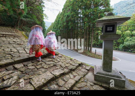 Pilger auf Daimon-Zaka Nachi Tokaido Pilgerweg route, UNESCO-Weltkulturerbe, Wakayama Präfektur, Honshu, Japan, Asien Stockfoto