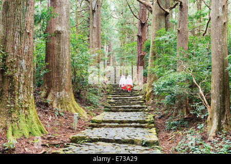 Pilger auf Daimon-Zaka Nachi Tokaido Pilgerweg route, UNESCO-Weltkulturerbe, Wakayama Präfektur, Honshu, Japan, Asien Stockfoto