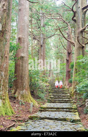 Pilger auf Daimon-Zaka Nachi Tokaido Pilgerweg route, UNESCO-Weltkulturerbe, Wakayama Präfektur, Honshu, Japan, Asien Stockfoto