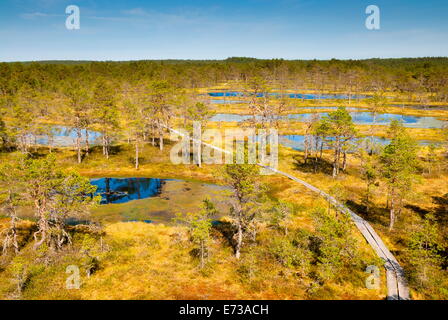 Viru Moor (Viru Raba) Torf Sumpf, Lahemaa Nationalpark, Harjumaa, Laane-Virumaa, Estland, Baltikum, Europa Stockfoto