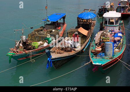 Angelboot/Fischerboot in Nathon Stadt, Insel Koh Samui, Thailand, Südostasien, Asien Stockfoto