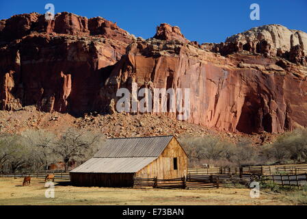 Historische Gifford Homestead Scheune aus 1908, Capitol Reef National Park, Utah, Vereinigte Staaten von Amerika, Nordamerika Stockfoto