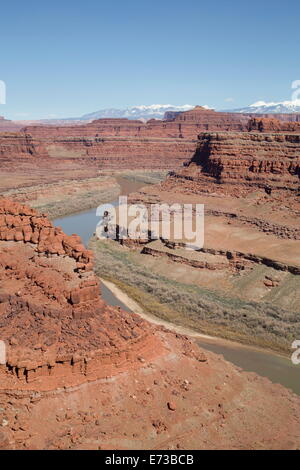 Colorado River, Canyonlands National Park, Utah, Vereinigte Staaten von Amerika, Nordamerika Stockfoto