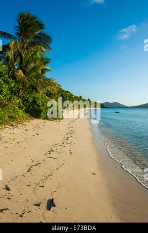 Weißer Sandstrand, Ruderer Bay, Yasawas, Fiji, Südsee, Pazifik Stockfoto