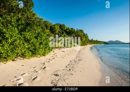 Weißer Sandstrand, Ruderer Bay, Yasawas, Fiji, Südsee, Pazifik Stockfoto