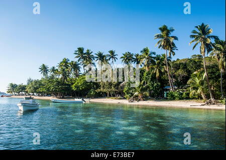 Weißer Sandstrand, Nanuya Lailai Insel, die blaue Lagune, Yasawas, Fiji, Südsee, Pazifik Stockfoto