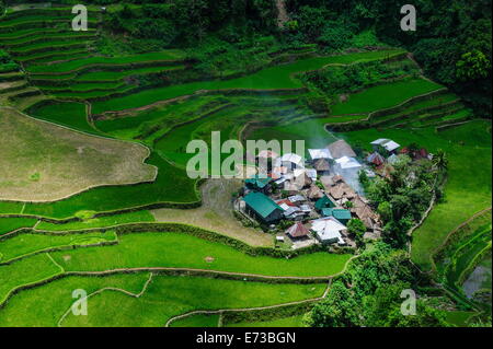 Bangaan in die Reisterrassen von Banaue, UNESCO-Weltkulturerbe, nördlichen Luzon, Philippinen, Südostasien, Asien Stockfoto