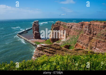 Lange Anna (lange Anna) freistehende Felsen Säule in Helgoland, kleine deutsche Inselgruppe in der Nordsee, Deutschland, Europa Stockfoto