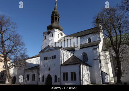 13. Jahrhundert Dom (The Cathedral of Saint Mary the Virgin), in dem Domberg, die Oberstadt, Tallinn, Estland, Europa Stockfoto