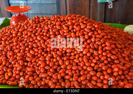 Cherry-Tomaten verkauft Ampawa Floating Market Stockfoto