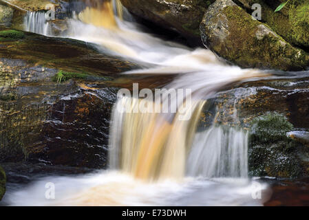 Deutschland, Bayern, National Park Bayerischer Wald, Natur Park Bayerischer Wald, Schlucht, Klamm, Wasser, Süßwasser, Wald, Natur, Horizontal, Felsen, Steinen, Geologie, Reise, Tourismus, Wandern, natürliche, frisch, Bergwasser, kleiner Bach, Kaskaden, Wasserfall Stockfoto