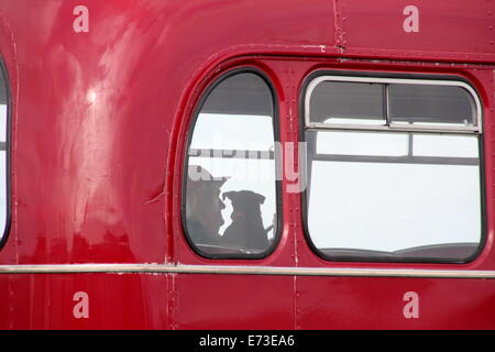 Passagiere auf einem Vintage Ribble-Bus bei Veranstaltung in Wales Großbritannien uk Stockfoto