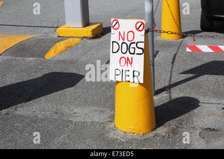keine Hunde auf Pier anmelden Bangor Wales Großbritannien uk Stockfoto