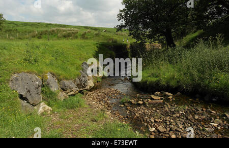 Channel Cam Brook, moor zum Schutz der Felsen Deckwerk Weg vom Fluss Erosion, Wyre Flussbecken, Wald von Bowland, UK Stockfoto