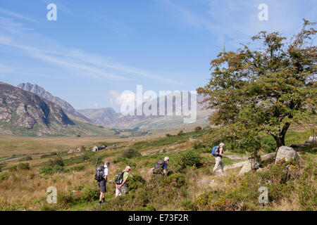 Wanderer im Ogwen Valley in Snowdonia-Nationalpark, Capel Curig, Conwy wandern. North Wales, UK, Großbritannien Stockfoto