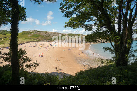 Barafundle Bay, Pembrokeshire, West Wales, UK, gewählt wurde eines der Top 10 Strände der Welt. Stockfoto