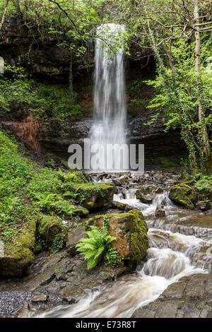 Wasserfall, Clydach Schlucht, Wales, UK Stockfoto