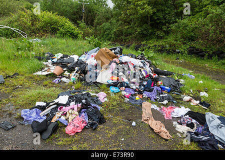 Fliegen Sie kippen in Clydach Schlucht, Wales, Großbritannien Stockfoto