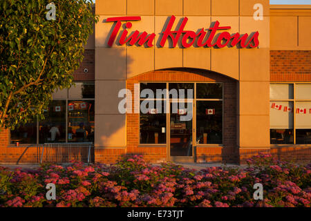 Eine gerade auf Schuss von Tim Hortons Schaufenster in Whitby, Ontario, Kanada. Stockfoto