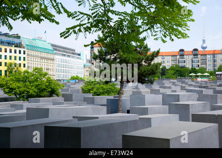 Deutschland, Berlin, Mitte, Holocaust-Mahnmal, das von uns geplante Architekten Peter Eisenmann mit einem Feld von grauen Platten. Stockfoto