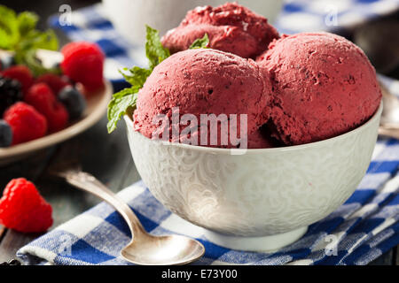 Hausgemachte Bio Berry Sorbet Eis verzehrfertige Stockfoto