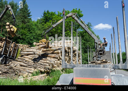 Arbeiter Mann Last gefällten Baumstämmen mit Holz Kran LKW Anhänger für den Transport. Forstwirtschaft. Stockfoto