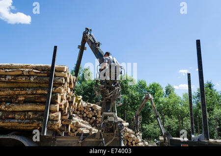 Mann laden gefällten Baumstämmen mit Holz Kran LKW Anhänger für den Transport. Stockfoto