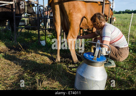 Milchmädchen Bauer Frau Kuh Euter Melkmaschine Pumpen aufsetzen Stockfoto