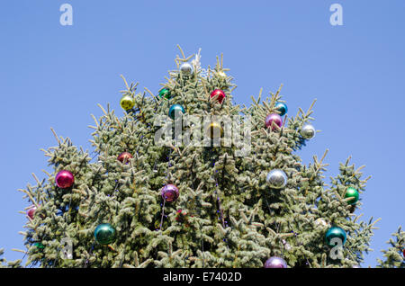 große Breite Weihnachtsbaum mit glasigen bunten Ball auf blauen Himmelshintergrund Stockfoto