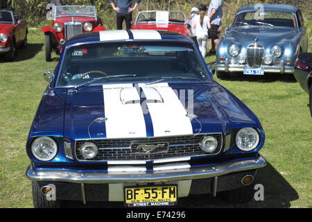 Ford Mustang Coupe 1966 Sydney Oldtimer mieten Mitglieder Eigentümer bei einer Werbeveranstaltung in Wisemans ferry, nördlich von Sydney Stockfoto