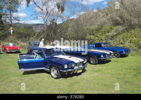 Sydney Oldtimer mieten Mitglieder Besitzer Anzeige ihrer Fahrzeuge auf einer Werbeveranstaltung in Wisemans ferry, nördlich von Sydney Stockfoto