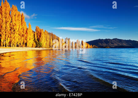 Herbstlandschaft, Lake Wanaka, Neuseeland Stockfoto