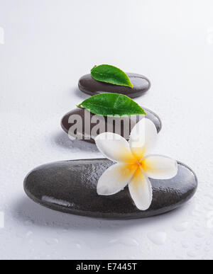 Zen Steinen mit Frangipani-Blüten auf weißem Hintergrund Stockfoto