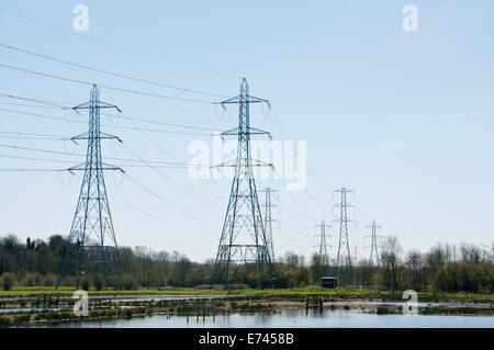 Blick auf Hallen Marsh, verwaltete Überschwemmungsgebiet mit Strommasten dominiert die Szene Stockfoto